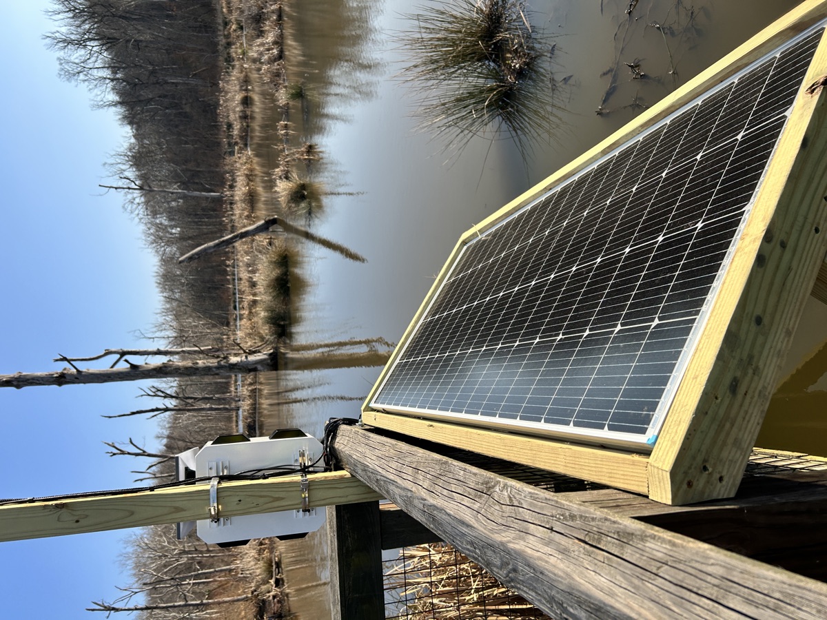 Sentinel solar panel array mounted alongside enclosure