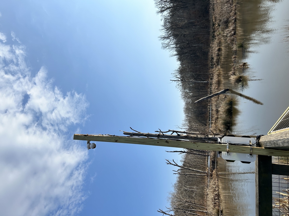 Sentinel camera on pole arm with sky view